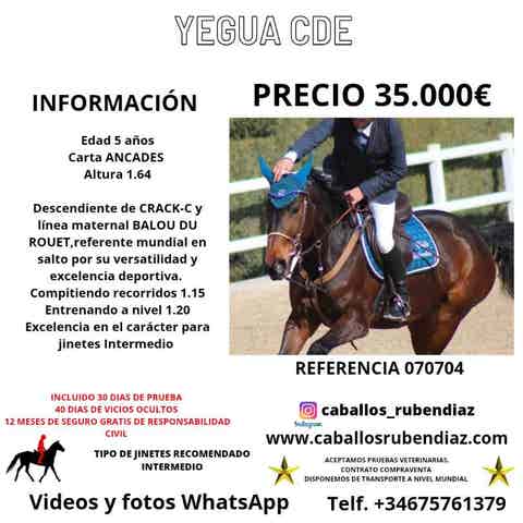 Yegua CDE - Descendiente de CRACK-C - Salto