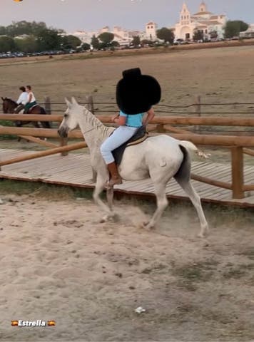 Yegua Mansa para Disfrutar