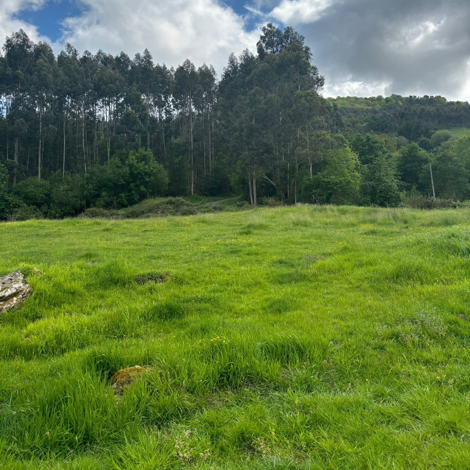 ALQUILER DE FINCA - imagen 1