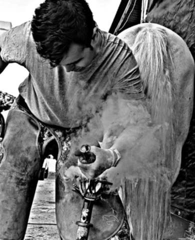 HERRADOR DE CABALLOS - imagen 1