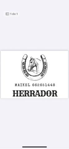 CABALLOS HERRADOR - imagen 1