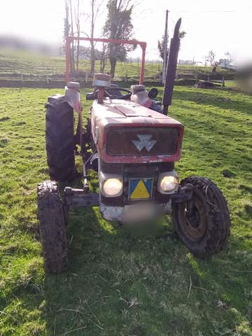 MASSEY FERGUSON - 135 - imagen 1